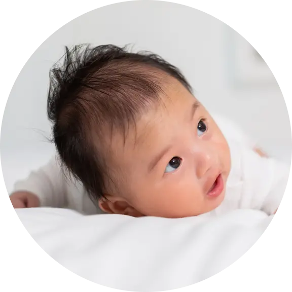 生後3か月～7か月の赤ちゃんの写真